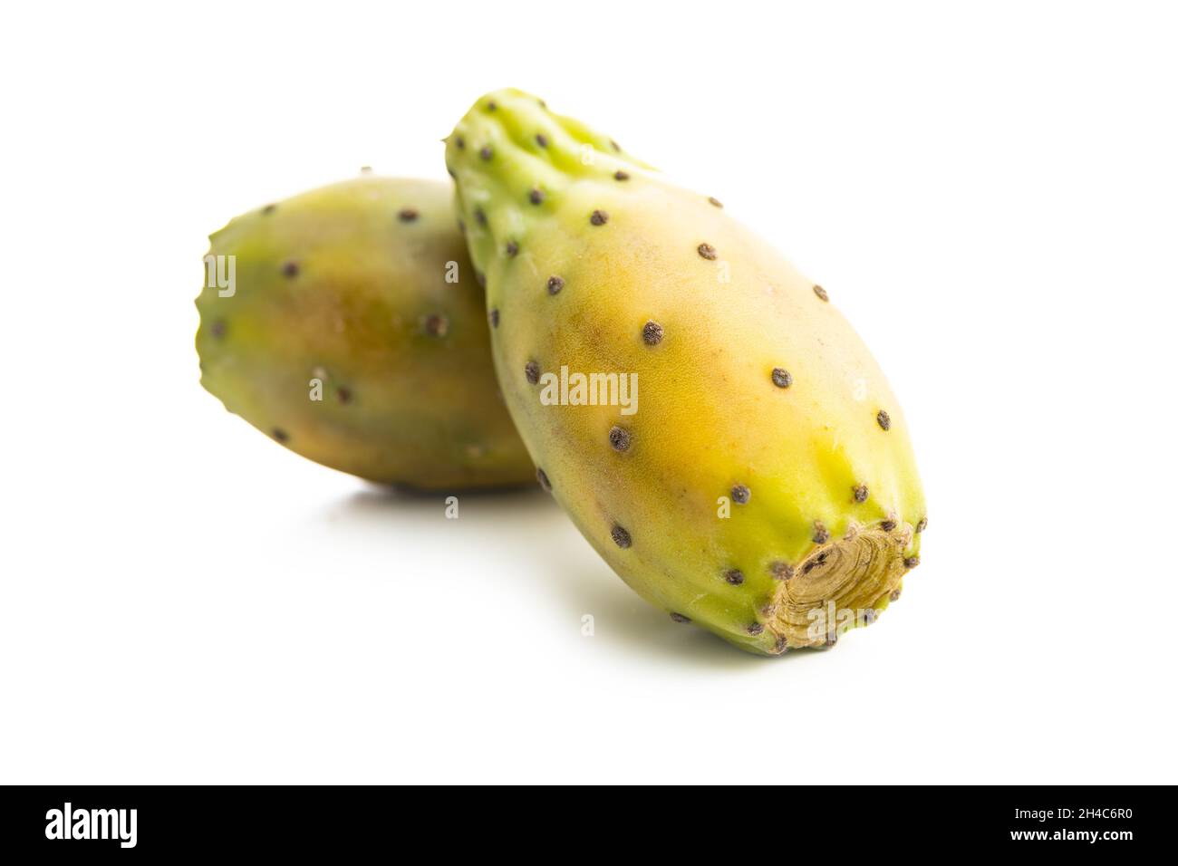 Pere crude. Opuntia o cactus indiano fico isolato su sfondo bianco. Foto Stock