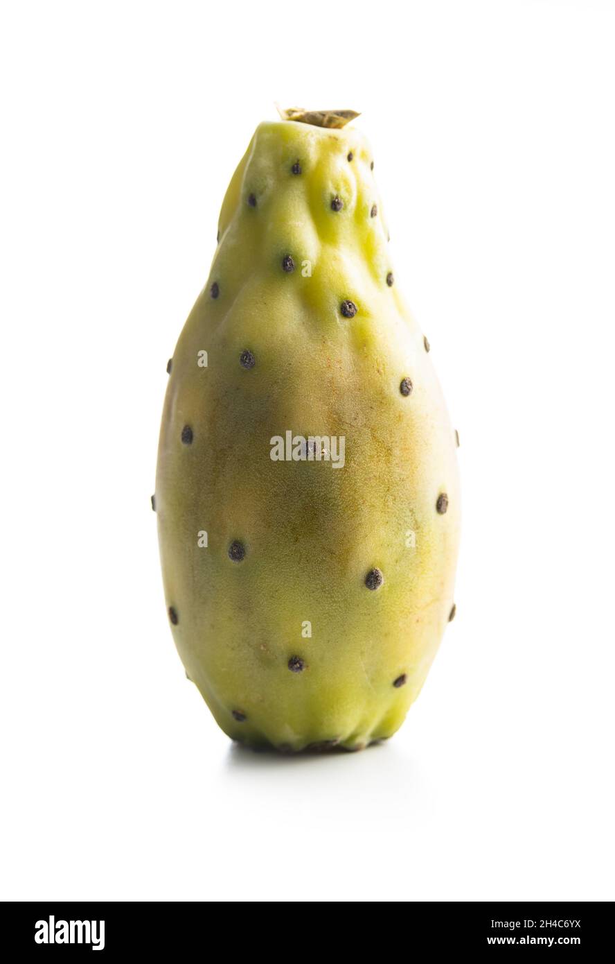 Pere crude. Opuntia o cactus indiano fico isolato su sfondo bianco. Foto Stock