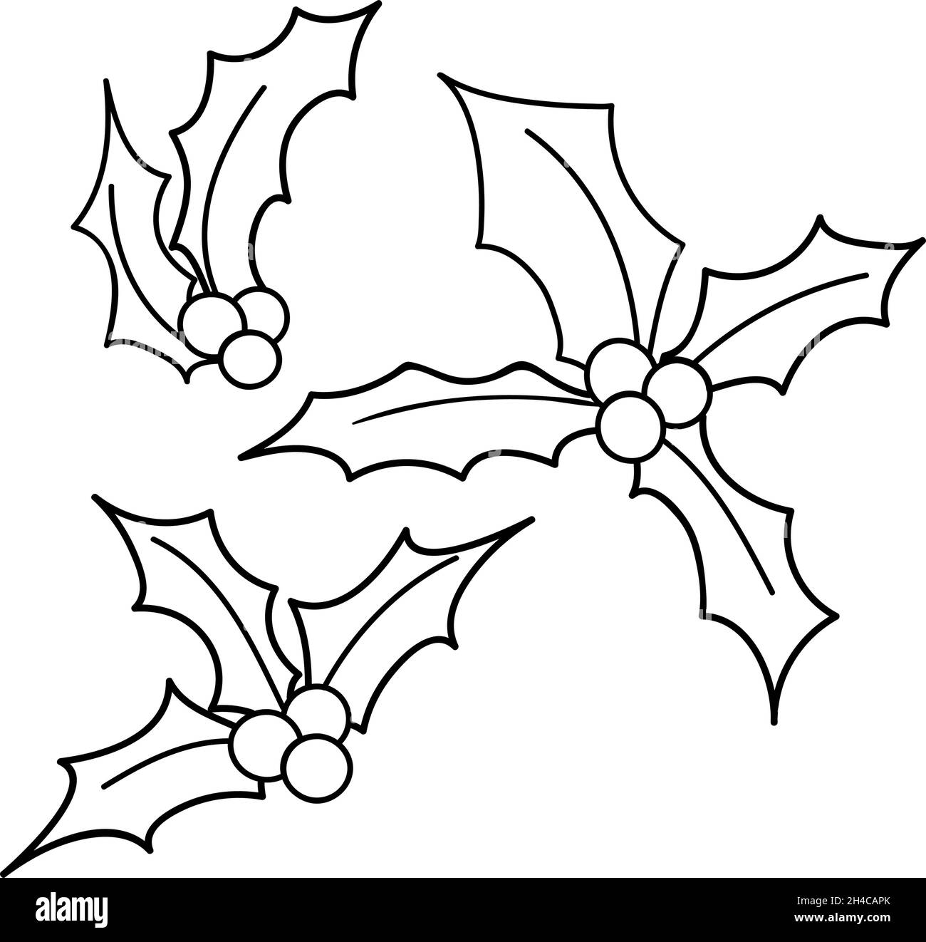 Holly Doodle vettore schizzi set di Natale. Collezione di illustrazioni fiori invernali. Vischio nero illustrazione trendy isolato su sfondo bianco Illustrazione Vettoriale