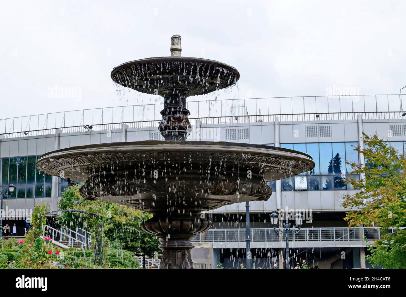 Parte di un giardino di rose con una fontana d'acqua dopo la pioggia, Sofia, Bulgaria Foto Stock