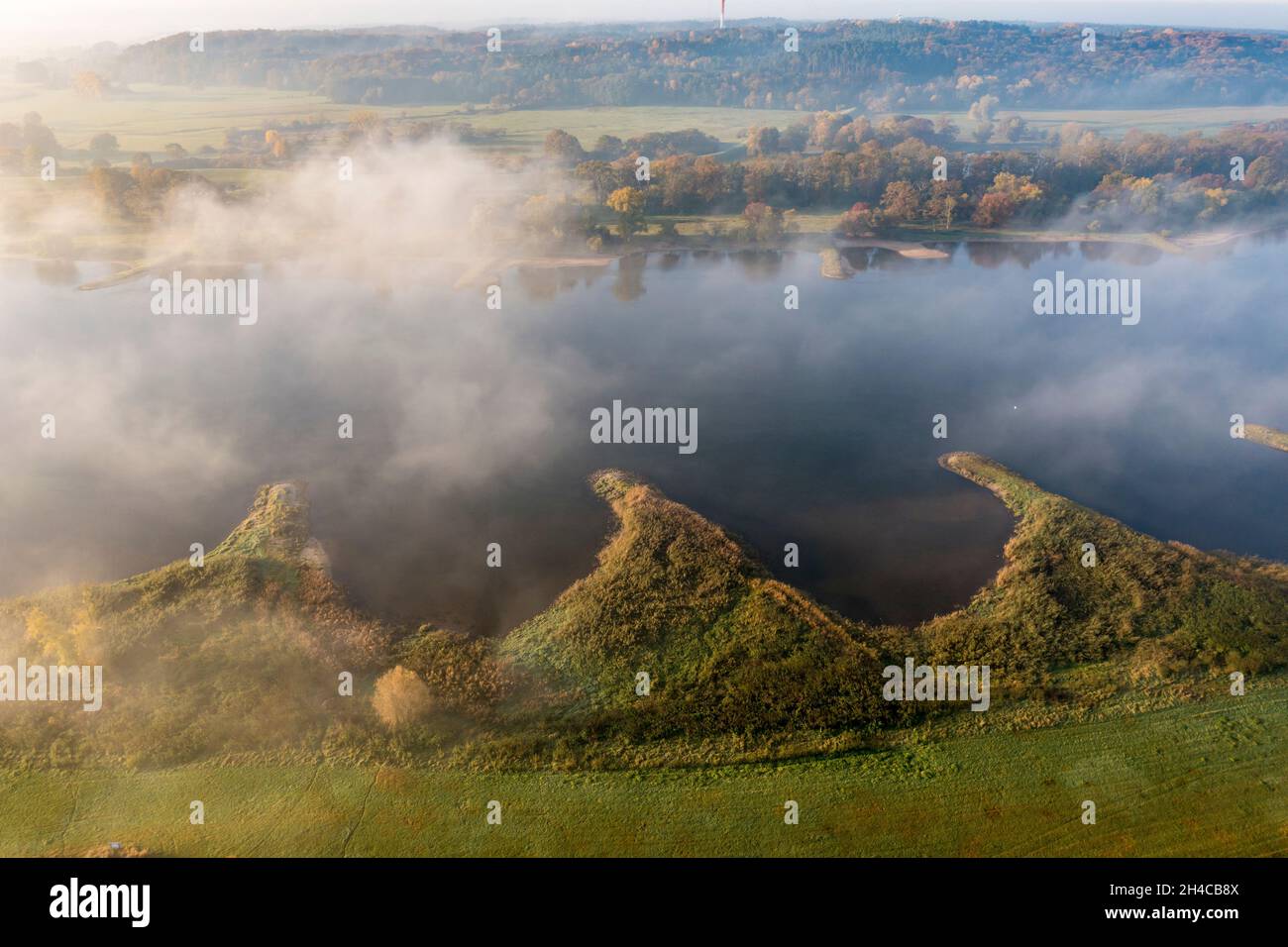 Veduta aerea del fiume Elba vicino a Lenzen, vista su Hoehbeck albero radio, nebbia mattutina in autunno, Germania Foto Stock
