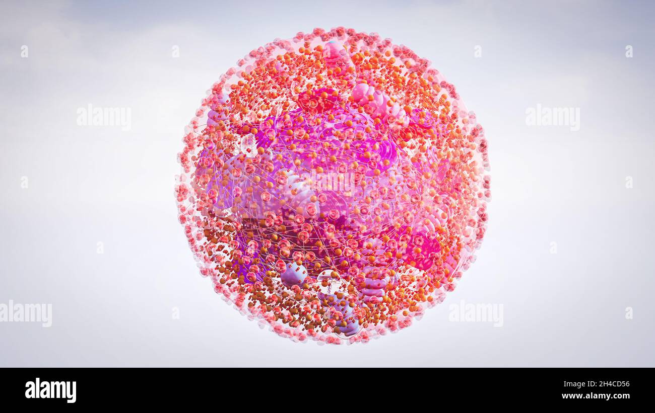 Componenti di cellule umane di una cellula eucariotica, nucleo e organelli e membrana plasmatica Golgi, mitocondri, ER liscio, ER ruvido, lisosoma, endosoma Foto Stock