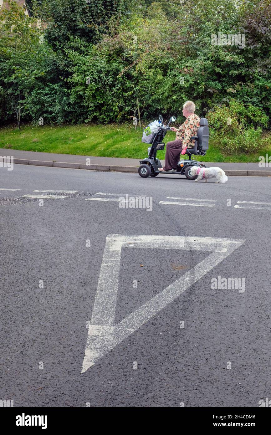 Una donna cammina il suo cane utilizzando uno scooter di mobilità, Porlock, Somerset Foto Stock