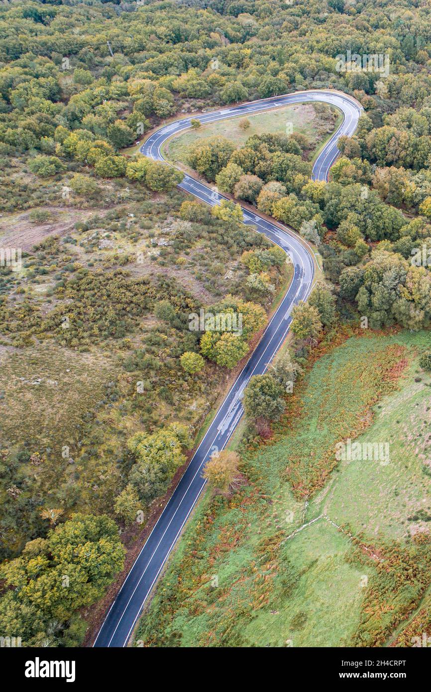 Strada tortuosa attraverso la foresta, dal passo di alta montagna, in autunno. Vista aerea dal drone. Foto Stock