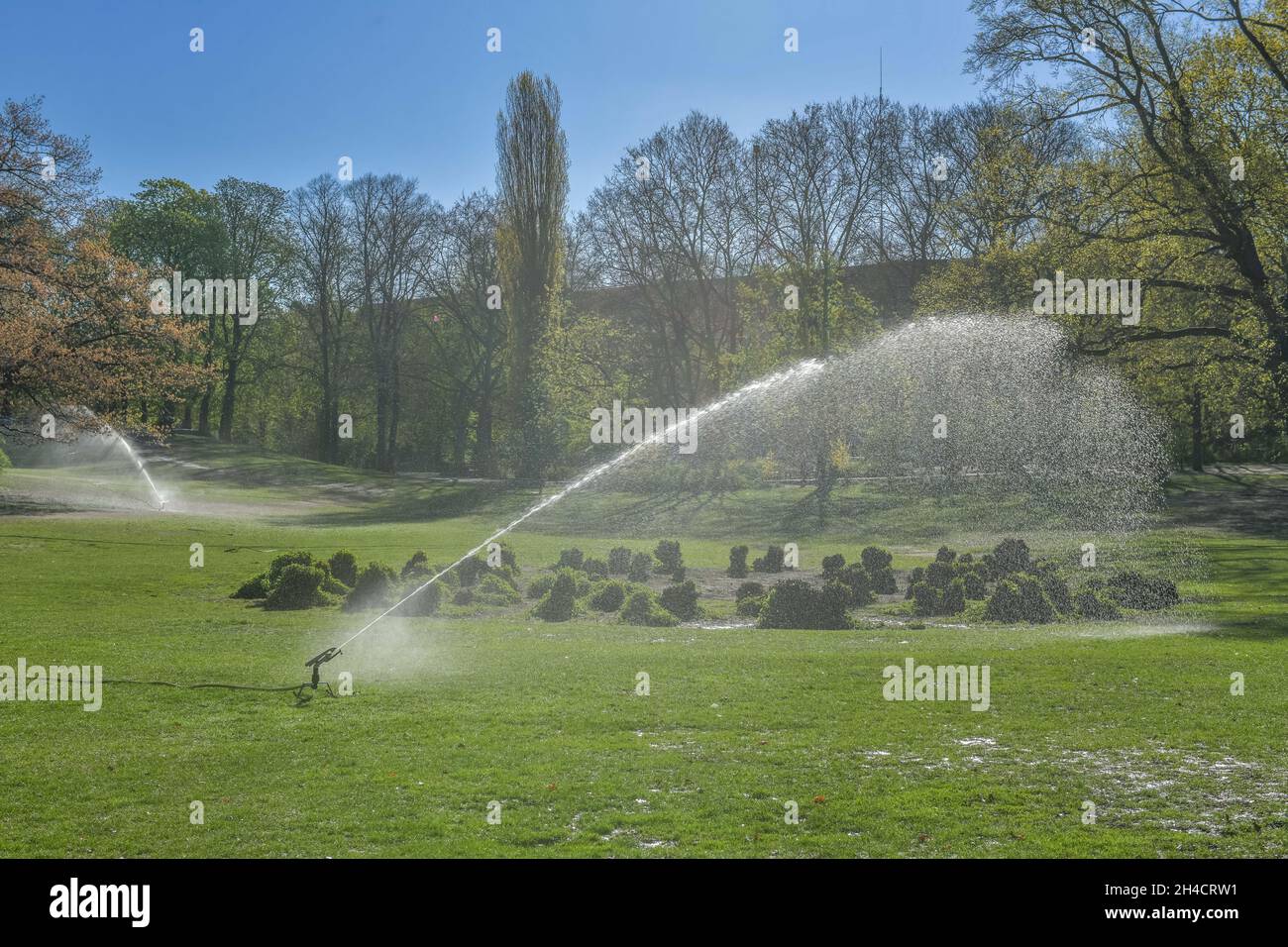 Beregnung, Stadtpark Schöneberg, Berlino, Germania Foto Stock