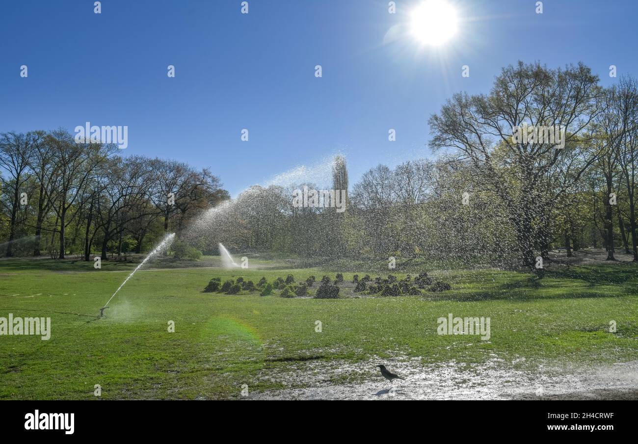 Beregnung, Stadtpark Schöneberg, Berlino, Germania Foto Stock