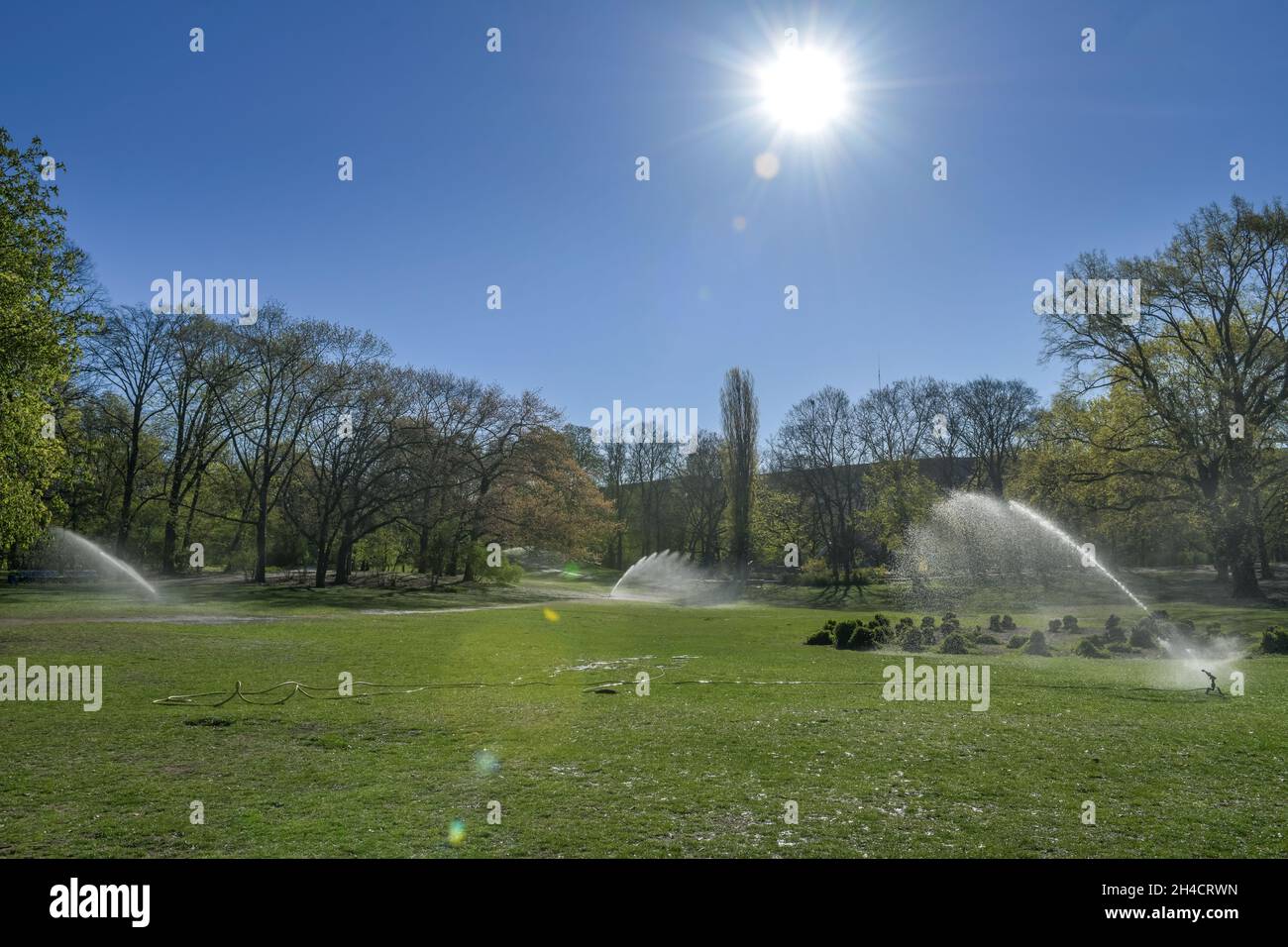 Beregnung, Stadtpark Schöneberg, Berlino, Germania Foto Stock