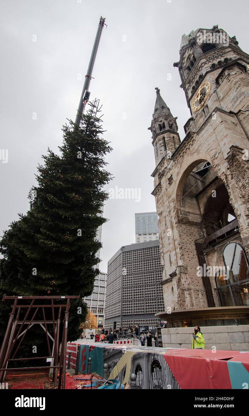 Berlino, Germania. 2 novembre 2021. Con l'aiuto di una gru, l'albero di Natale è messo in su al Gedächtniskirche. Credit: Paul Zinken/dpa/Alamy Live News Foto Stock