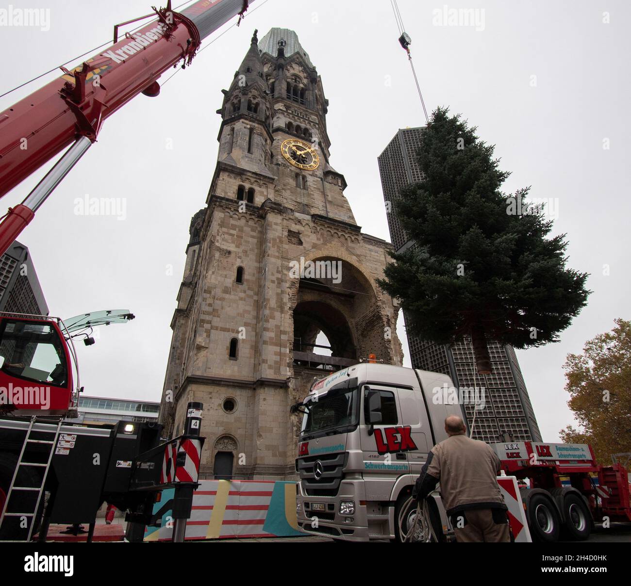 Berlino, Germania. 2 novembre 2021. Con l'aiuto di una gru, l'albero di Natale è messo in su al Gedächtniskirche. Credit: Paul Zinken/dpa/Alamy Live News Foto Stock