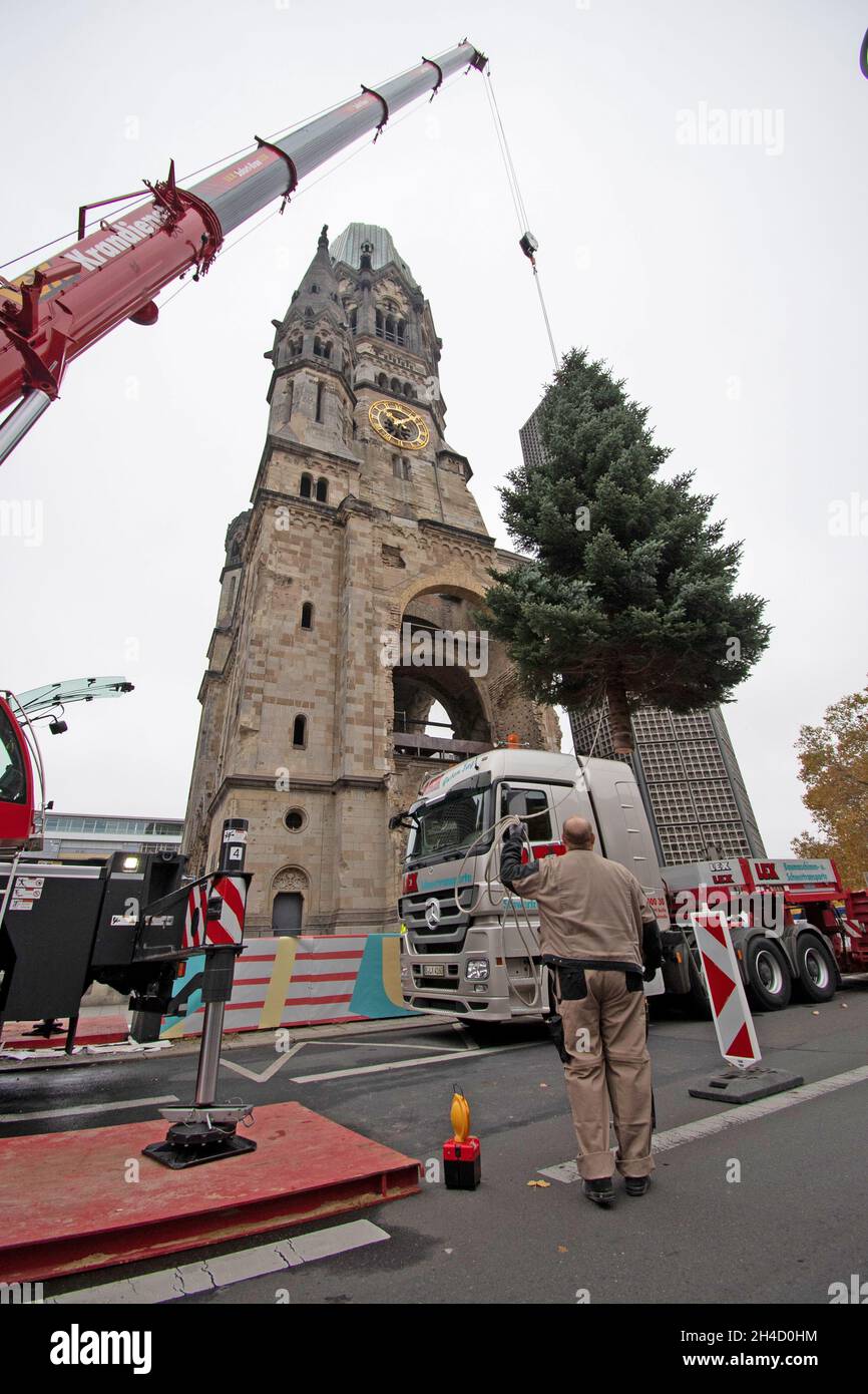 Berlino, Germania. 2 novembre 2021. Con l'aiuto di una gru, l'albero di Natale è messo in su al Gedächtniskirche. Credit: Paul Zinken/dpa/Alamy Live News Foto Stock