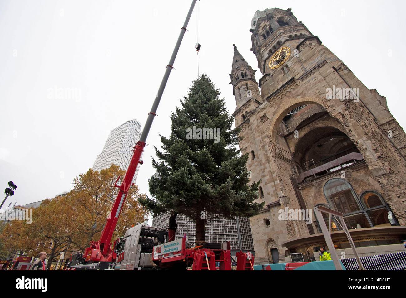Berlino, Germania. 2 novembre 2021. Con l'aiuto di una gru, l'albero di Natale è messo in su al Gedächtniskirche. Credit: Paul Zinken/dpa/Alamy Live News Foto Stock