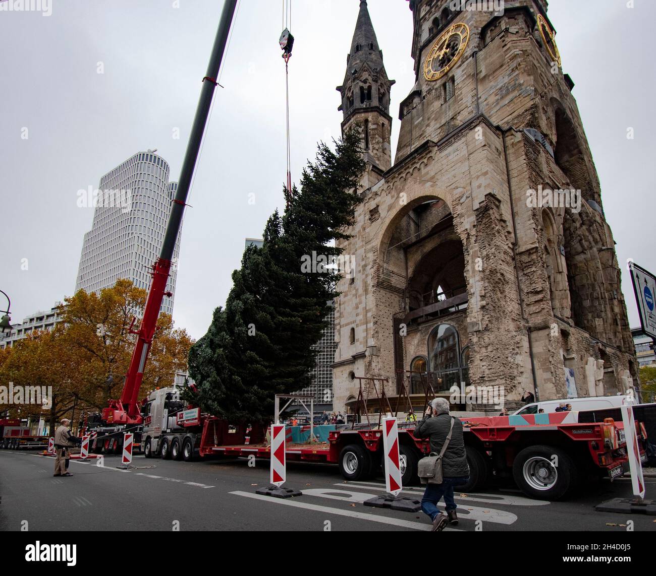 Berlino, Germania. 2 novembre 2021. Con l'aiuto di una gru, l'albero di Natale è messo in su al Gedächtniskirche. Credit: Paul Zinken/dpa/Alamy Live News Foto Stock