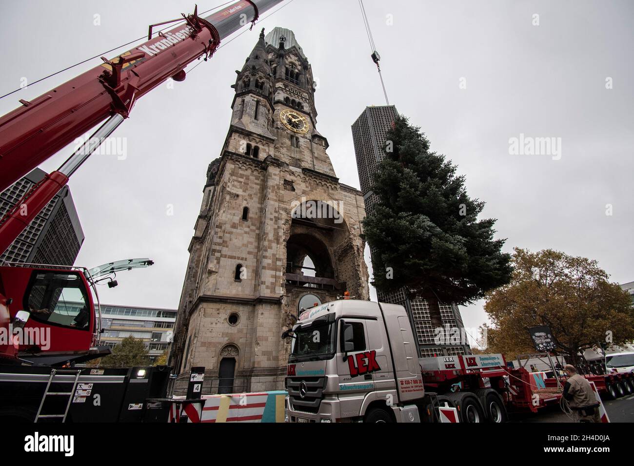 Berlino, Germania. 2 novembre 2021. Con l'aiuto di una gru, l'albero di Natale è messo in su al Gedächtniskirche. Credit: Paul Zinken/dpa/Alamy Live News Foto Stock