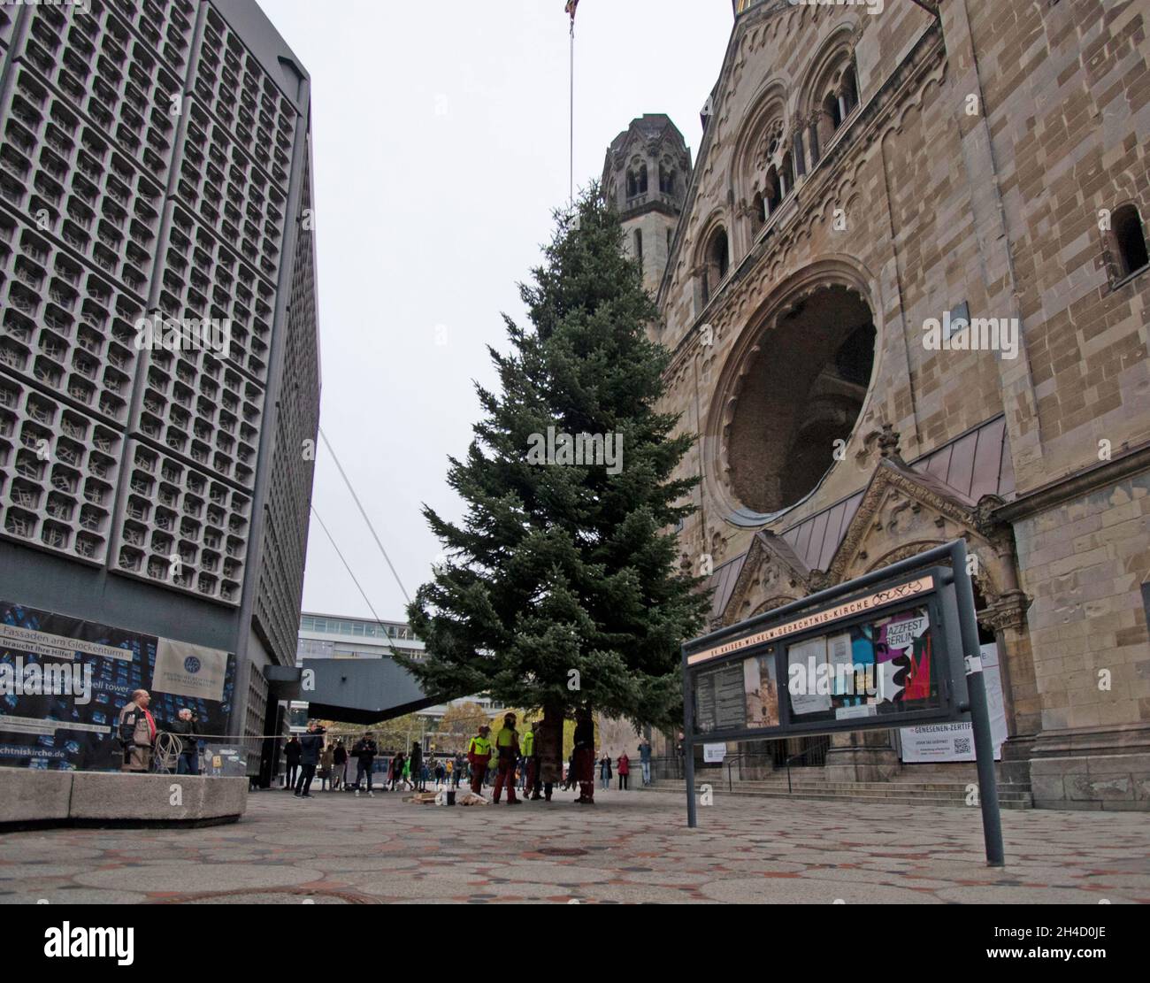 Berlino, Germania. 2 novembre 2021. Con l'aiuto di una gru, l'albero di Natale è messo in su al Gedächtniskirche. Credit: Paul Zinken/dpa/Alamy Live News Foto Stock