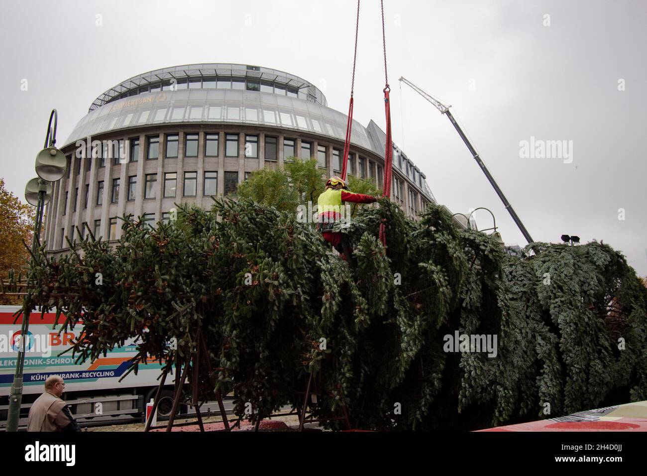 Berlino, Germania. 2 novembre 2021. Con l'aiuto di una gru, l'albero di Natale è messo in su al Gedächtniskirche. Credit: Paul Zinken/dpa/Alamy Live News Foto Stock