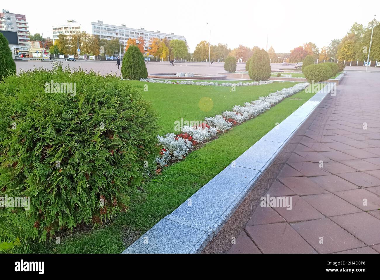 Cespugli verdi e fiori su un aiuole in una strada della città Foto Stock