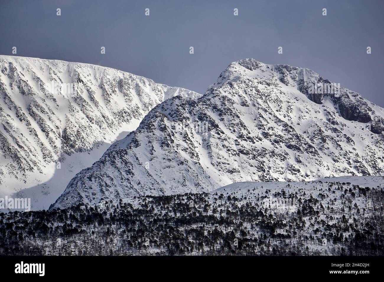 Strati di montagna in inverno, Norvegia Foto Stock
