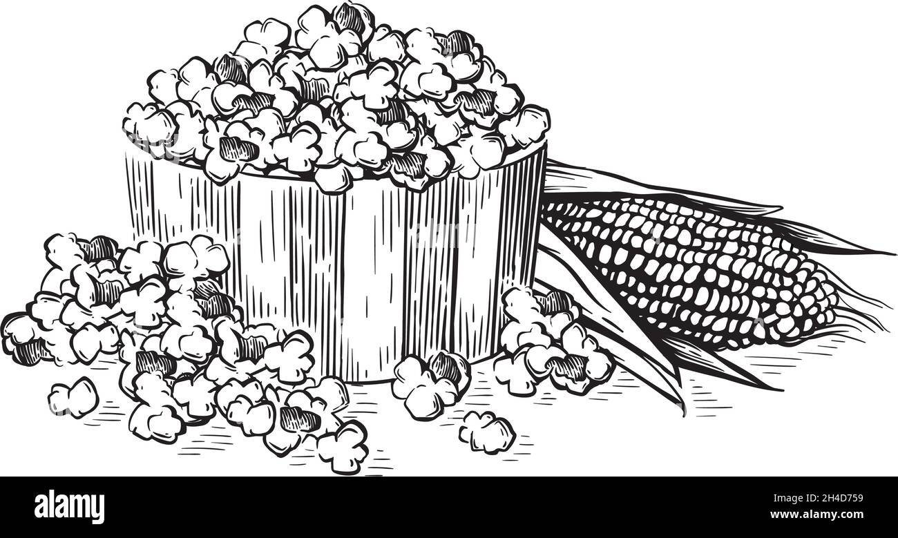 Illustrazione vettoriale dello stile di schizzo pop corn. Vecchia imitazione di incisione disegnata a mano Illustrazione Vettoriale