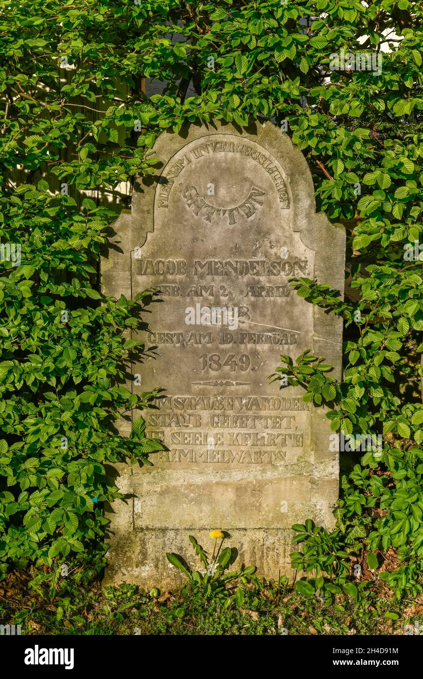 Grabstein, Alter Jüdischer Friedhof, Winterberg, Vlotho, Kreis Herford, Nordrhein-Westfalen, Deutschland Foto Stock