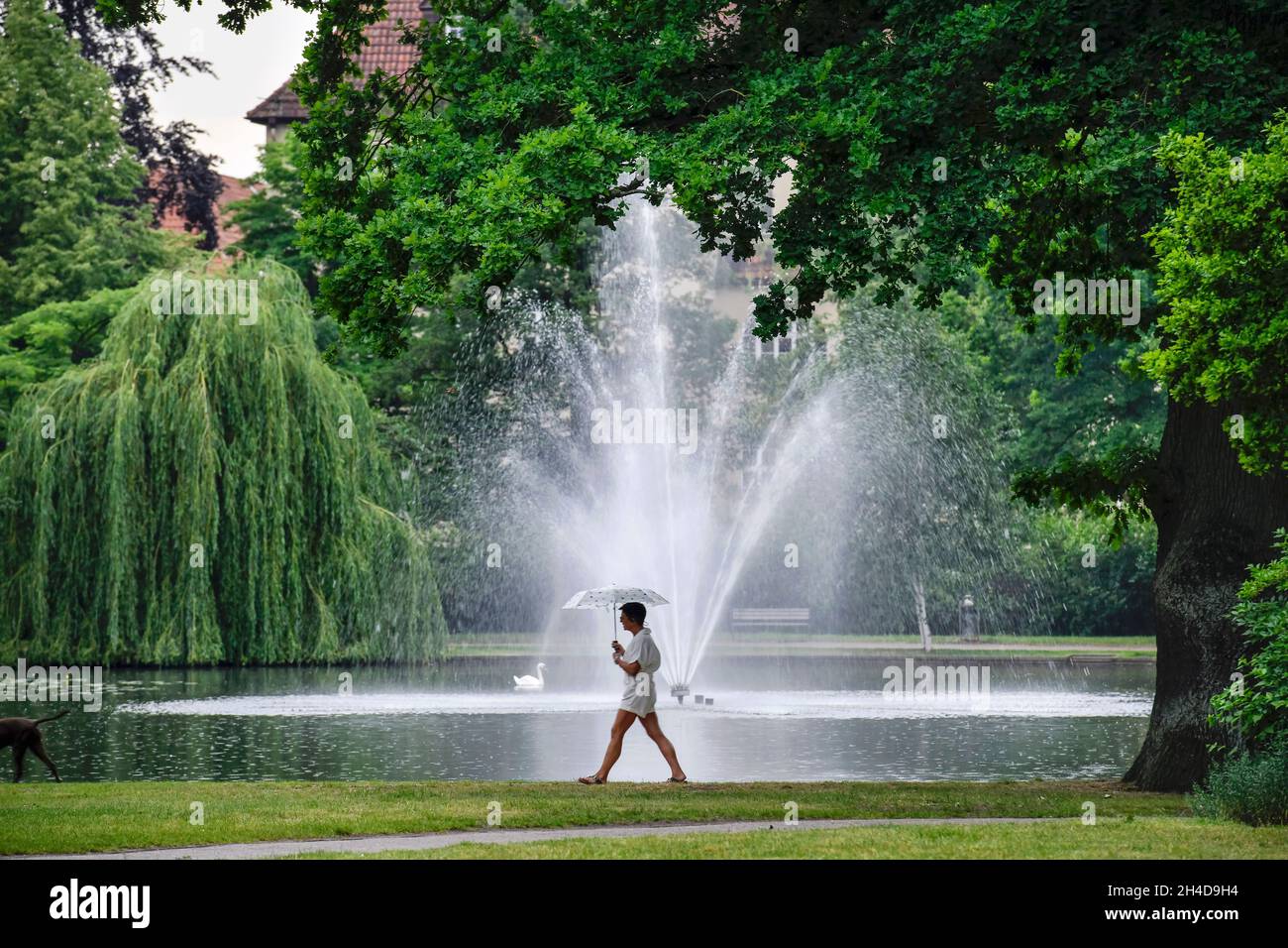 Fontäne, Französischer Garten, Celle, Niedersachsen, Deutschland Foto Stock