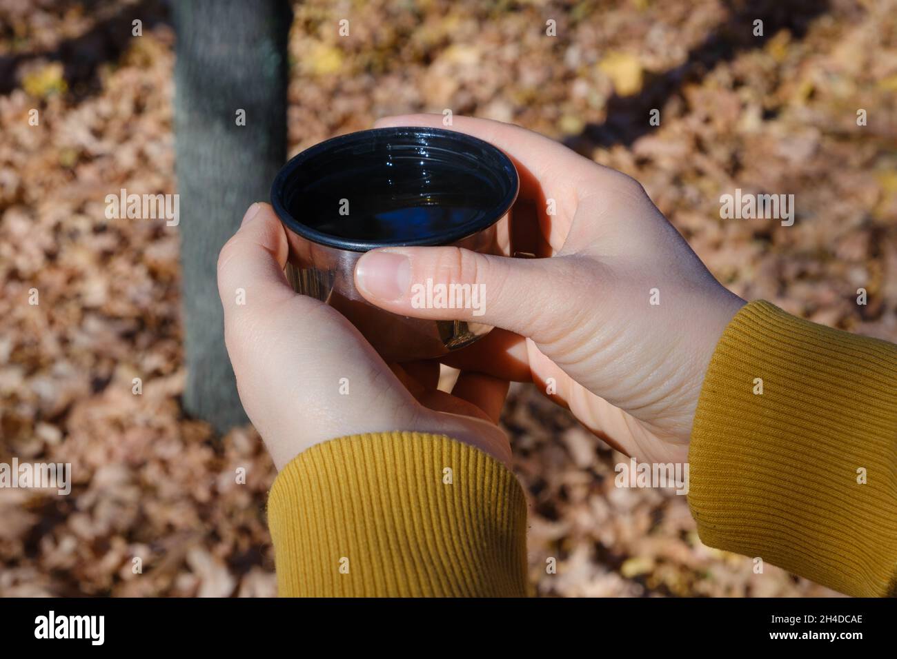Una donna tiene una tazza termica di tè nella foresta autunnale, mani da vicino Foto Stock
