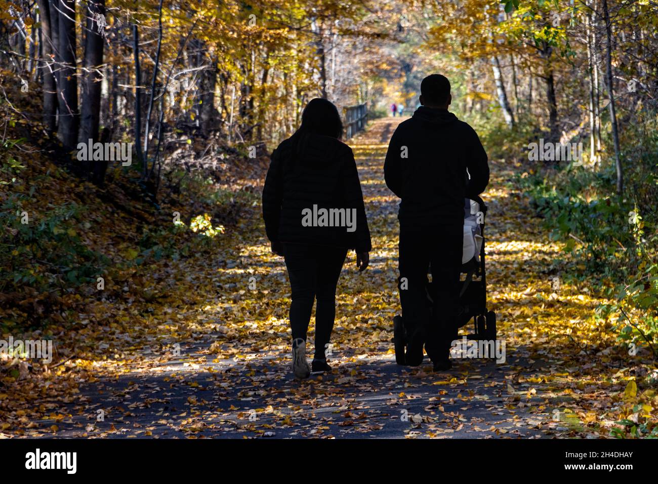 Le silhouette di una donna con un uomo che spinge un passeggino sul cammino in autunno natura. Foto Stock Le silhouette di una donna con un uomo che spinge un passeggino sul cammino in autunno natura. Foto Stock