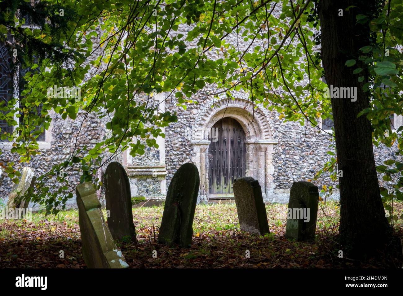 Lapidi in parte silhouetted sotto l'ombra degli alberi di fronte alla porta Normanna a St Mary & St Peter's Church Kelsale, Suffolk Foto Stock