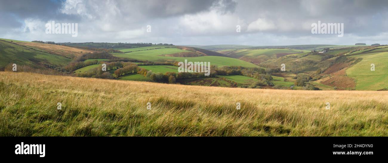 Una vista panoramica sulla Barle Valley (a destra) e Great Ferry Ball (centro) in autunno da Withypool Common nel Parco Nazionale Exmoor, Somerset, Inghilterra. Foto Stock