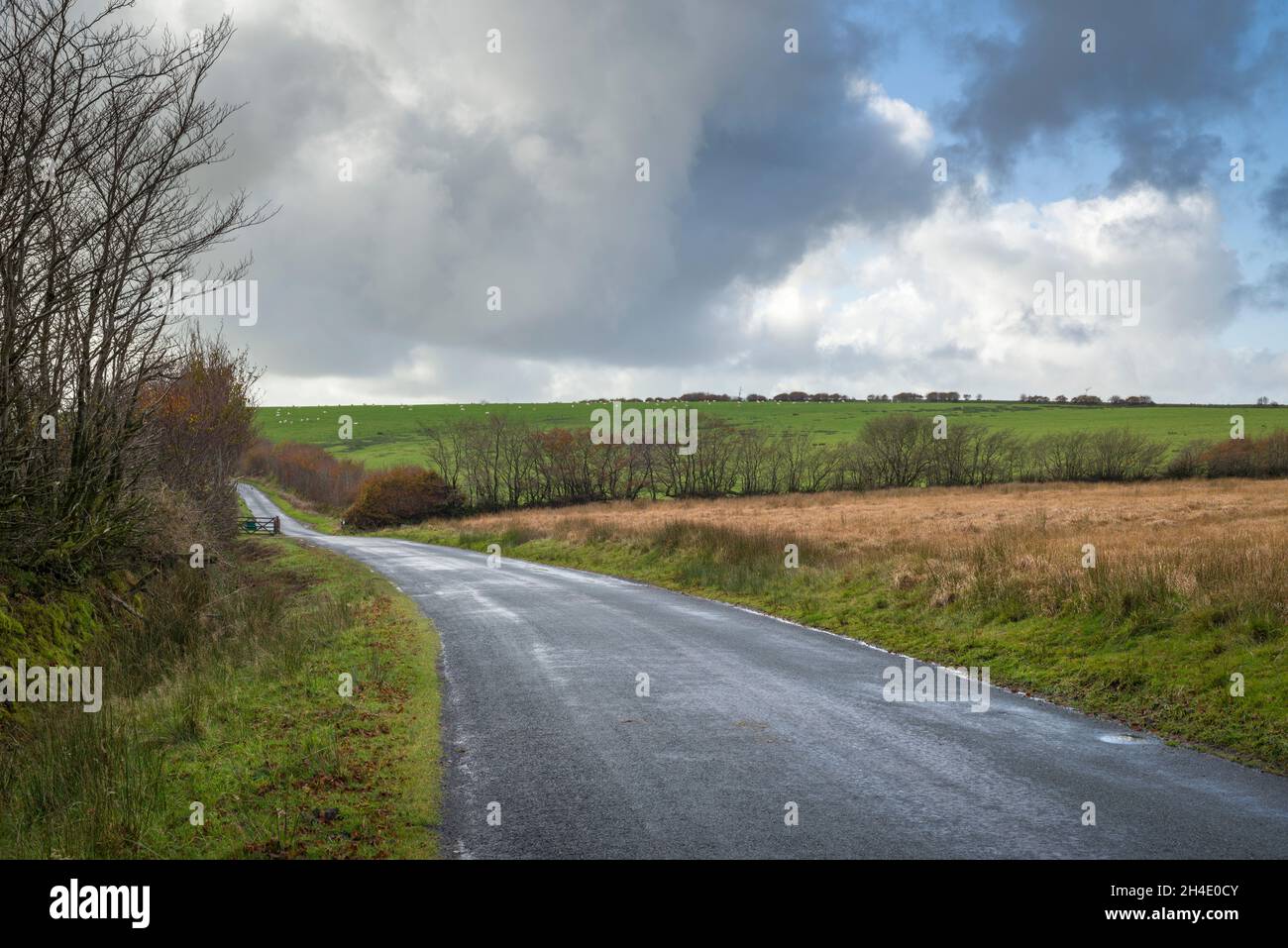 Una corsia di campagna a Hawkridge Common nel Parco Nazionale di Exmoor in autunno, Somerset, Inghilterra. Foto Stock