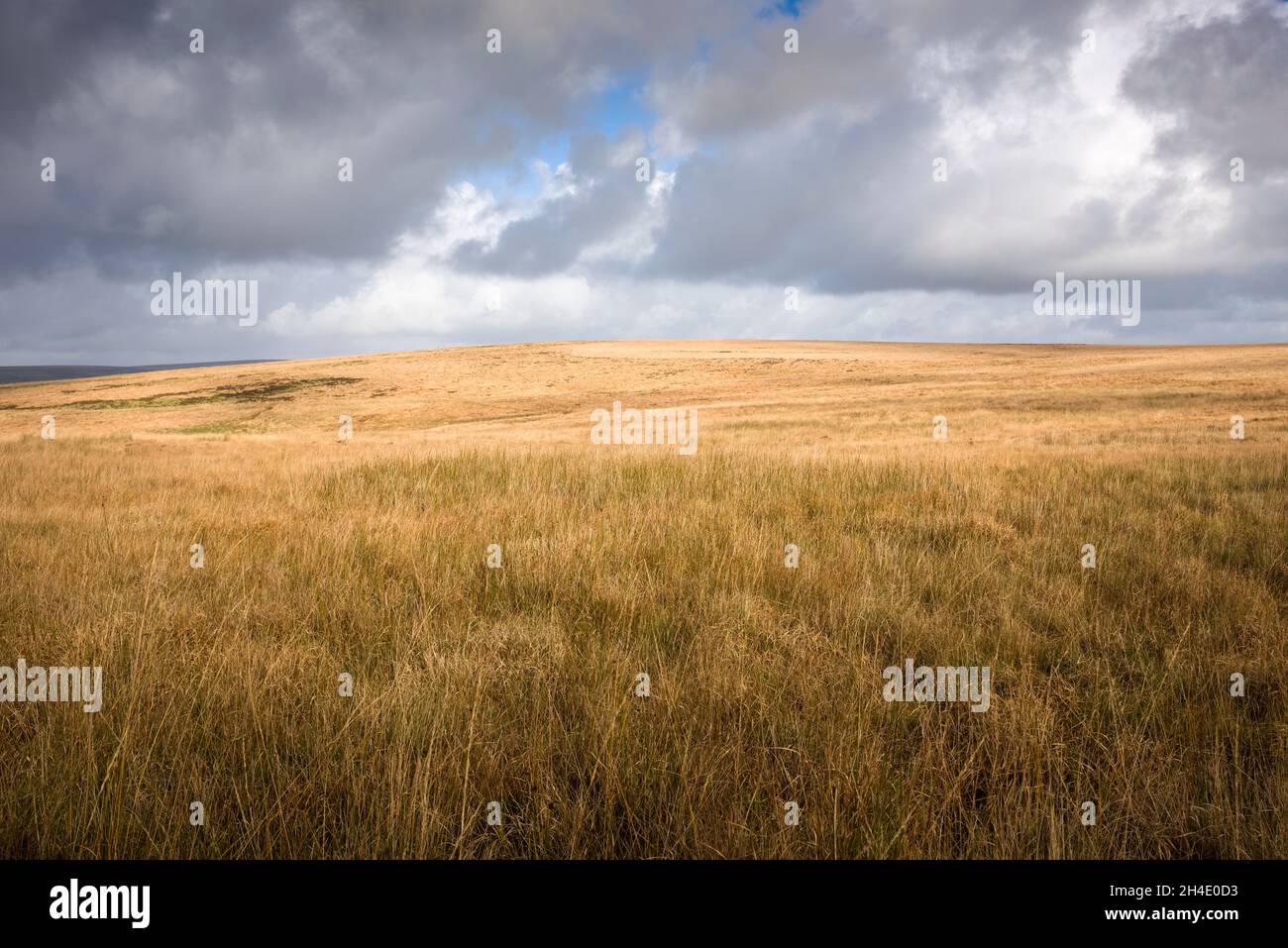 Autunno luce del sole su Withypool comune in Exmoor National Park, Somerset, Inghilterra. Foto Stock