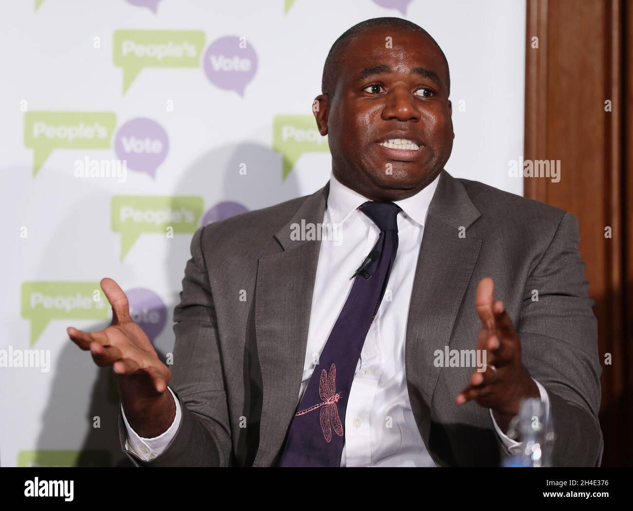 David Lammy parla durante una conferenza stampa di voto popolare a Westminster, Londra. Immagine datata: Martedì 22 gennaio 2019. Foto Stock