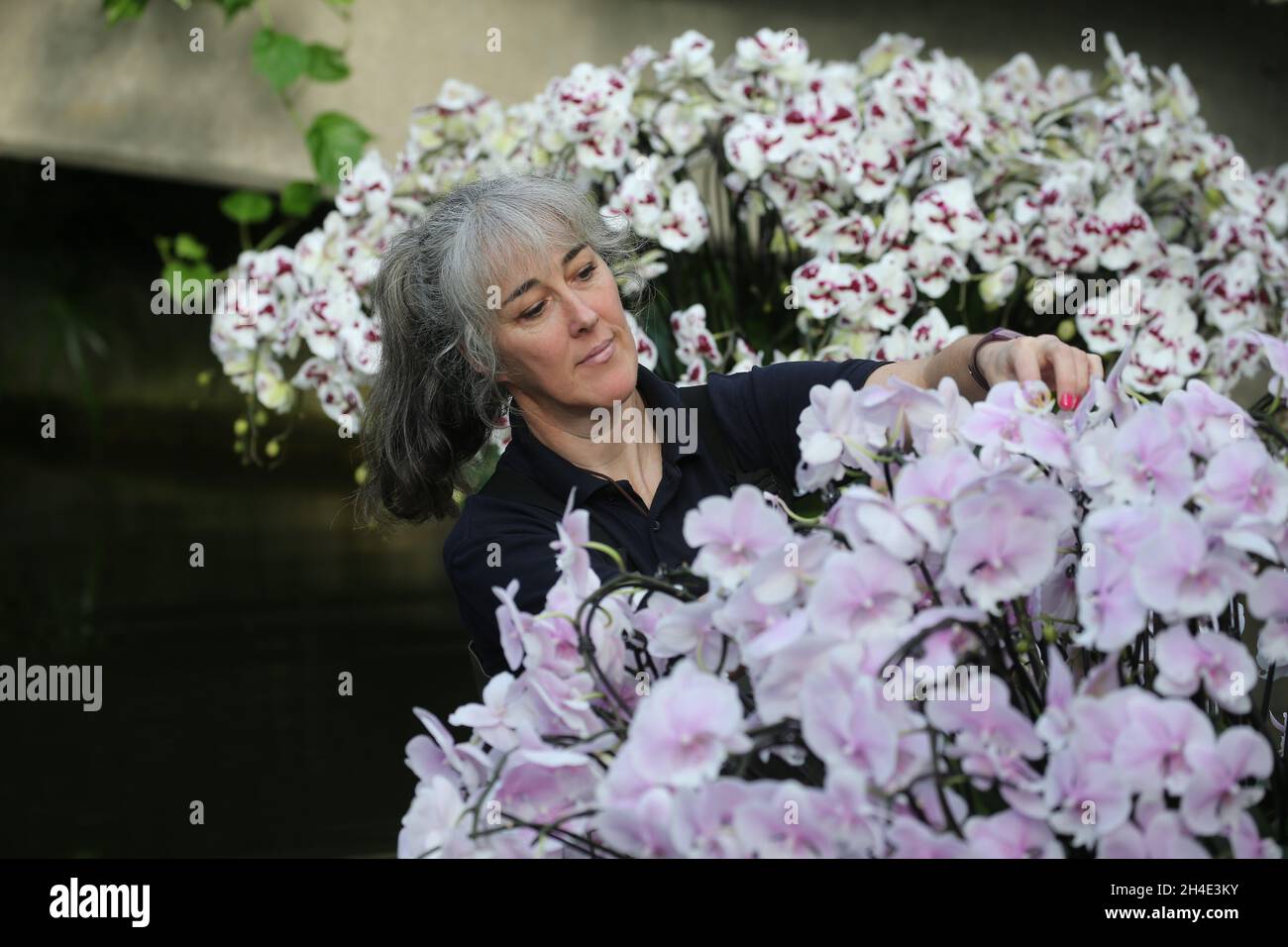 L'orticulturista SAL Demain apporta alcune modifiche finali durante un'anteprima per il Kew Orchid Festival: Festeggia il colore della Colombia, esposto ai Royal Botanic Gardens, Kew, Londra occidentale. . Foto datata: Mercoledì 7 febbraio 2019. Il credito fotografico deve essere: Isabel Infantes / EMPICS Entertainment. Foto Stock