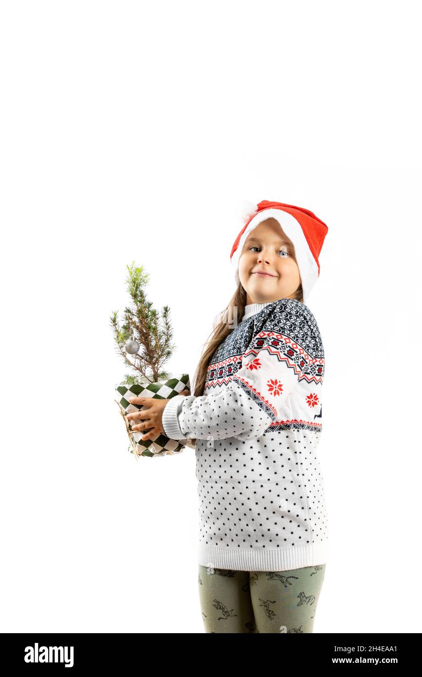 Ragazza caucasica di sei anni in maglione di Natale bianco con renna e cappello di Babbo Natale che tiene in vaso un piccolo albero di Natale, isolato su bianco Foto Stock