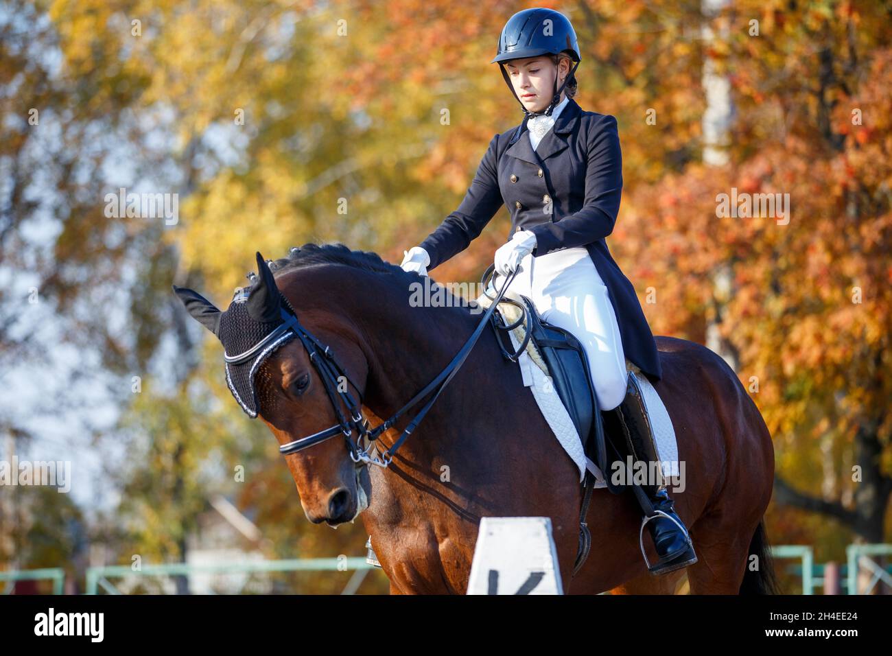 Adolescente ragazza a cavallo sul test di dressage equestre in autunno Foto Stock