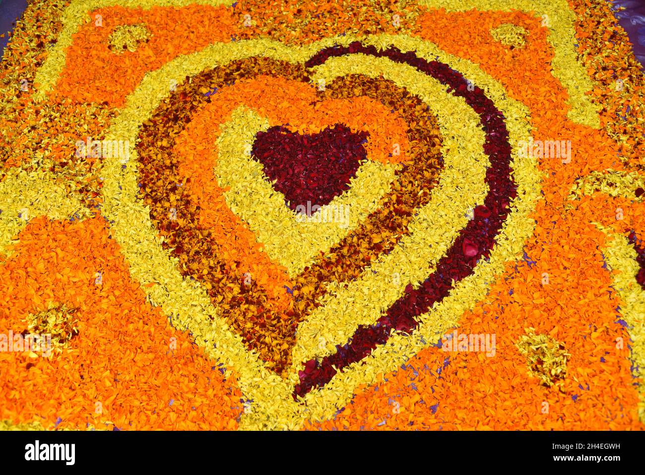 Forma del cuore con petalo di fiori colorati Foto Stock