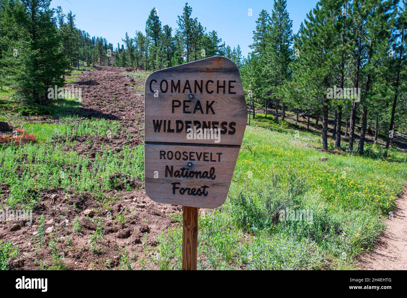 Comanche Peak Wilderness segno nella Roosevelt National Forest Foto Stock