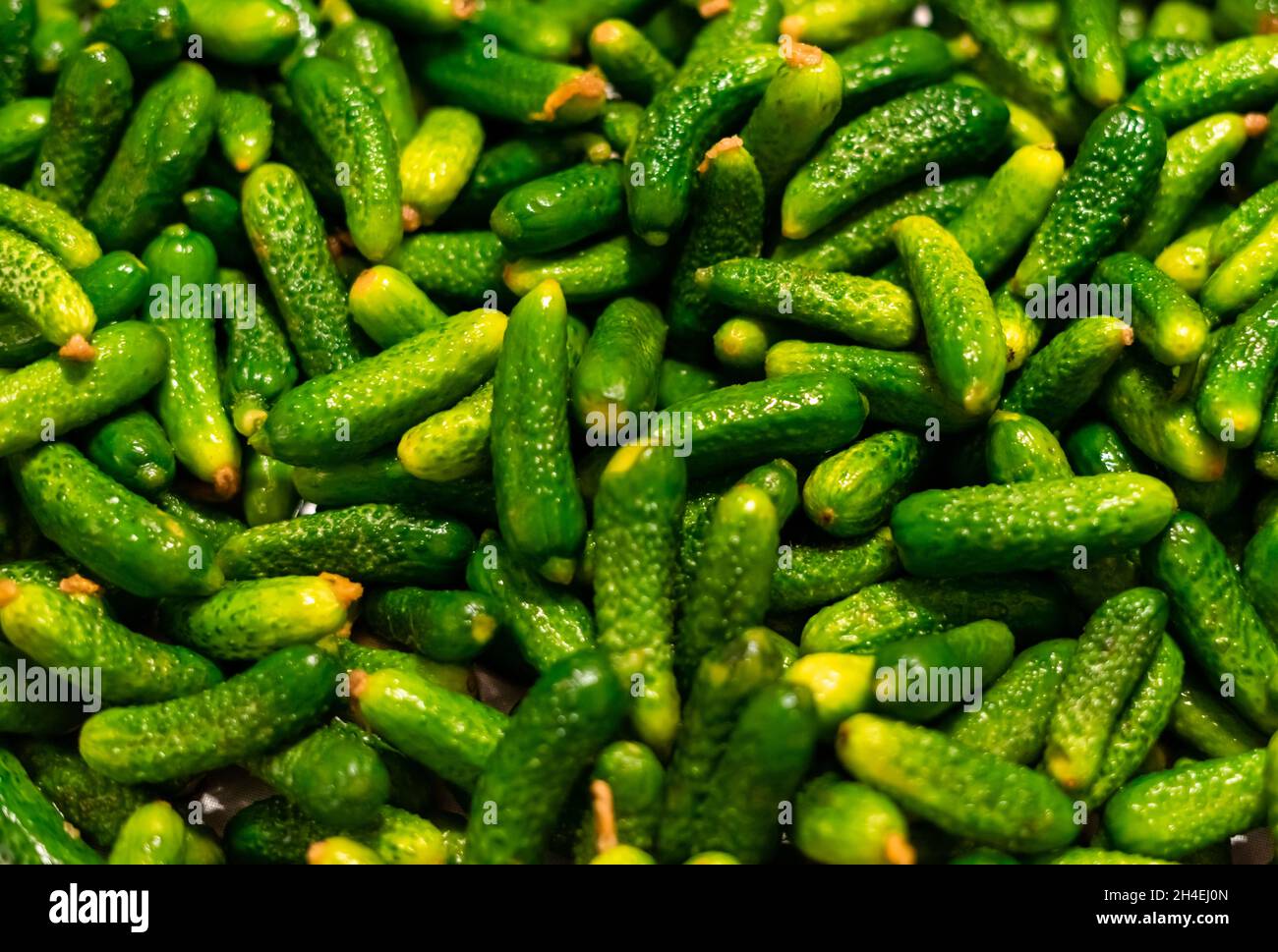 Mucchio di cetriolini verdi di mais Foto Stock