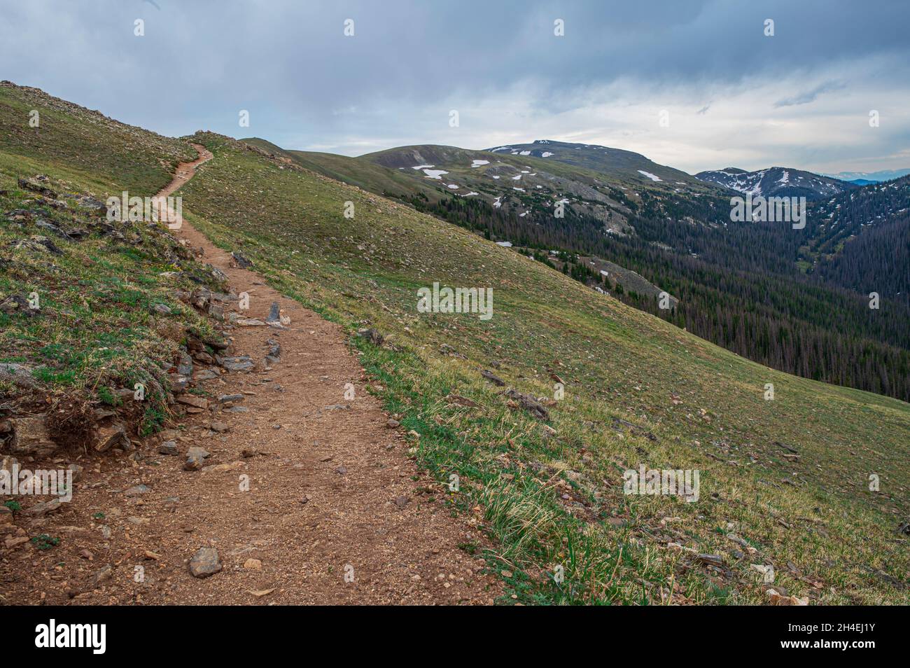Mount Ida Hiking Trail nel Rocky Mountain National Park, Colorado, USA Foto Stock