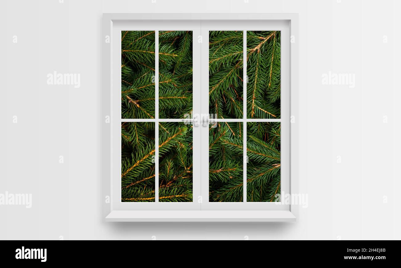 Albero di Natale rami di abete attraverso il concetto di finestra Foto Stock