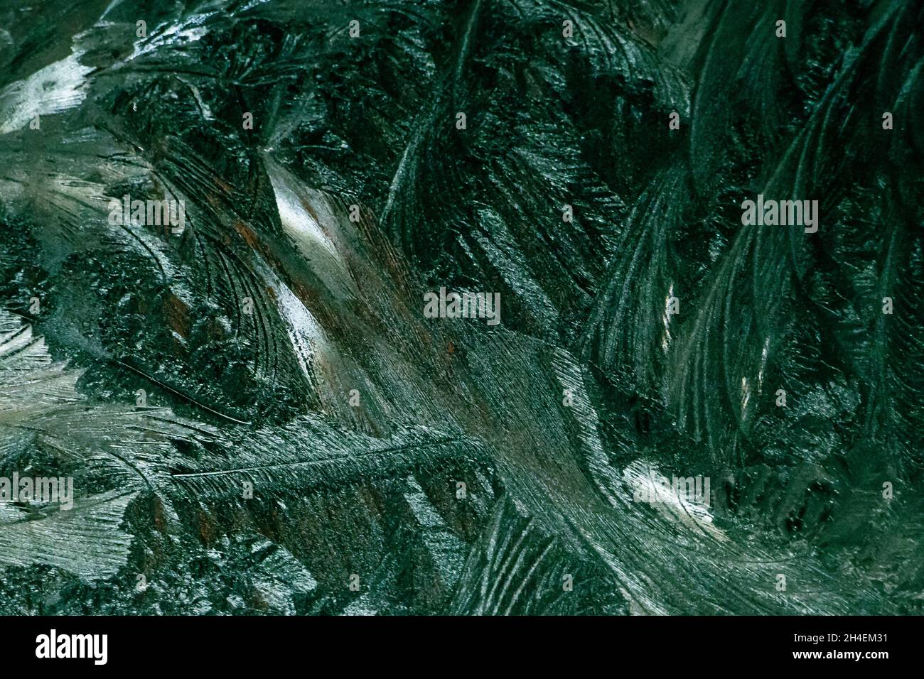 Motivi gelosi invernali su vetro. Cristalli di ghiaccio lucido sulla finestra. Sfondo mistico di Natale. Trama astratta. Foto Stock