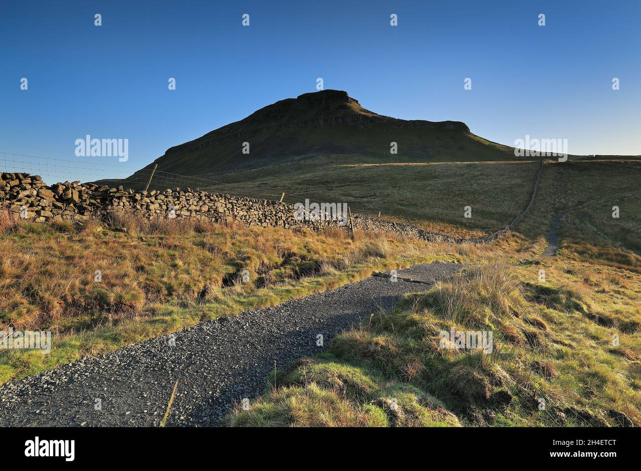 Sentiero che conduce alla cima di Penyghent, una montagna nelle valli dello Yorkshire e una delle famose 'tre cime'. Foto Stock