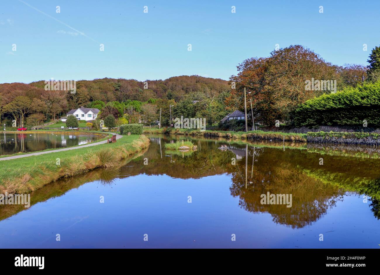 Colori autunnali su Timoleague a Courtmacsherry passerella Foto Stock