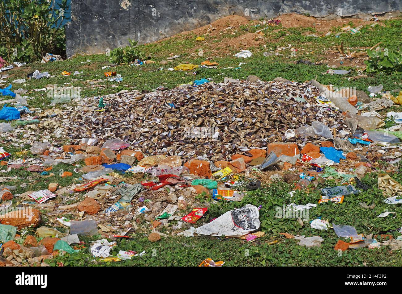 Spazzatura sulla costa vicino alla città di Kovalam, Kerala, India. Dicembre 30, 2019. Foto editoriale Foto Stock