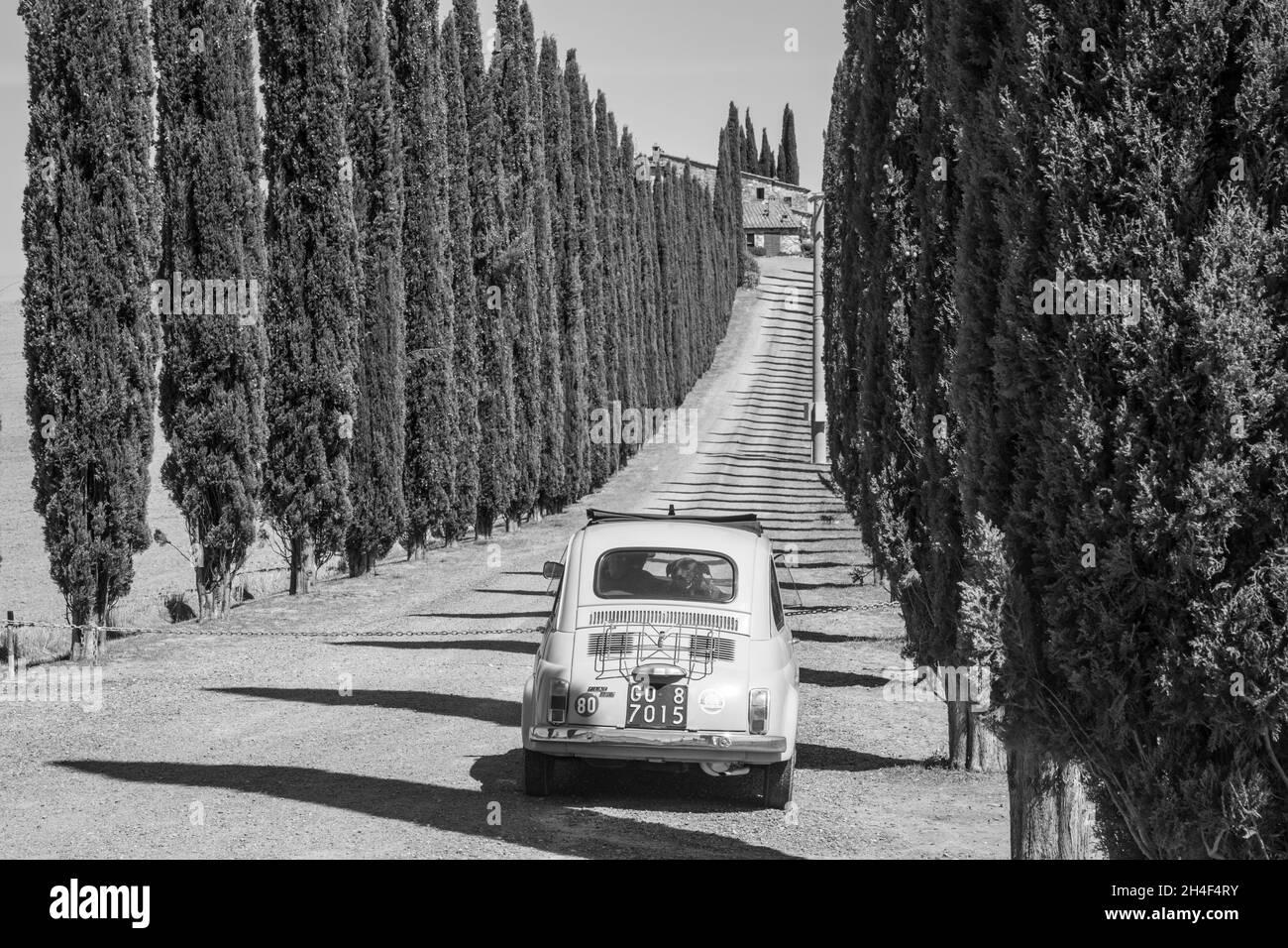 ITALIA TOSCANA Foto Stock