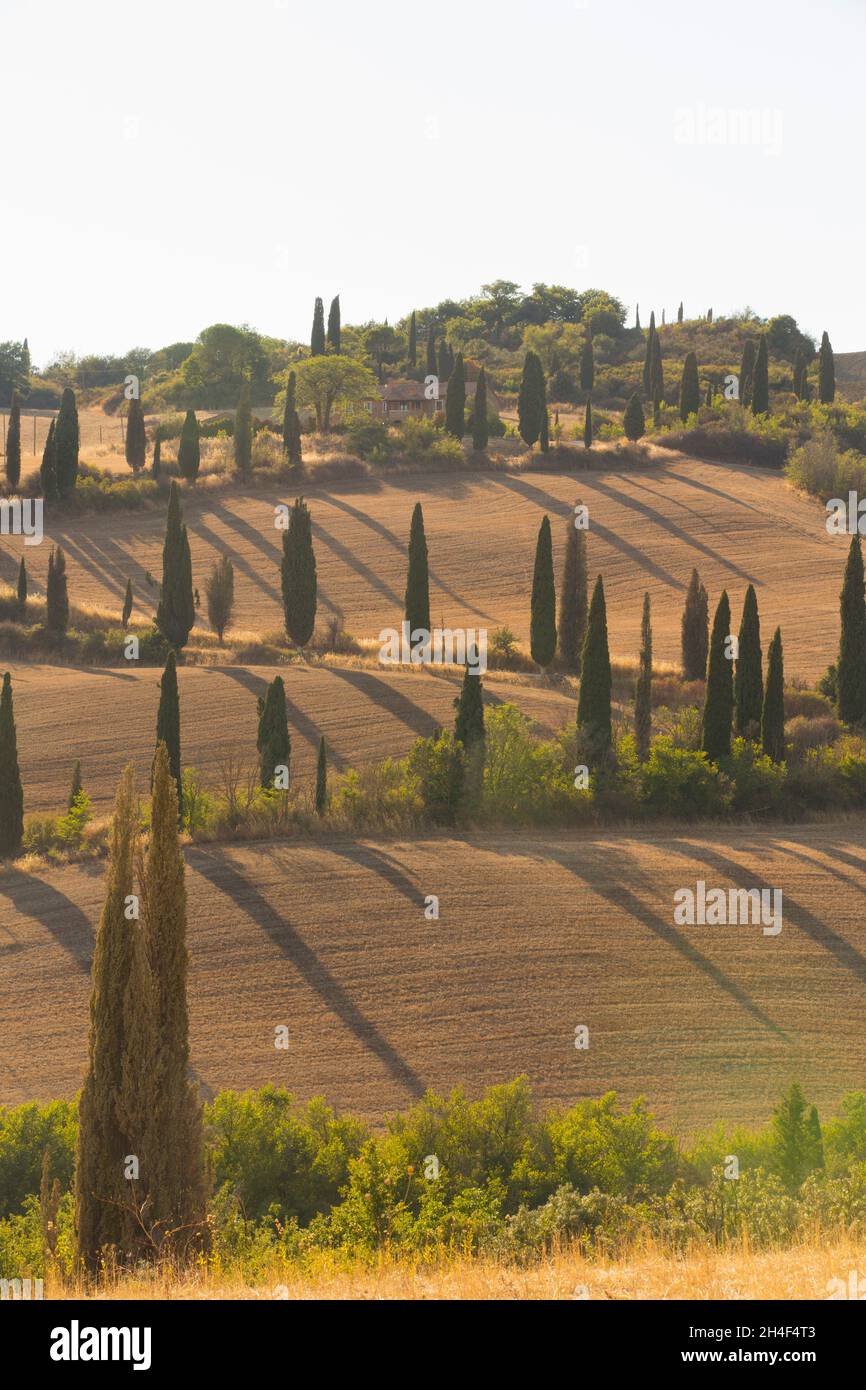 ITALIA TOSCANA Foto Stock