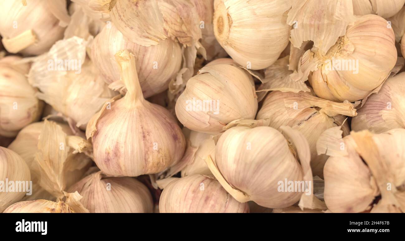 Un sacco di aglio nel mercato, texture sfondo. Mucchio di aglio modello, di alta qualità Foto Stock