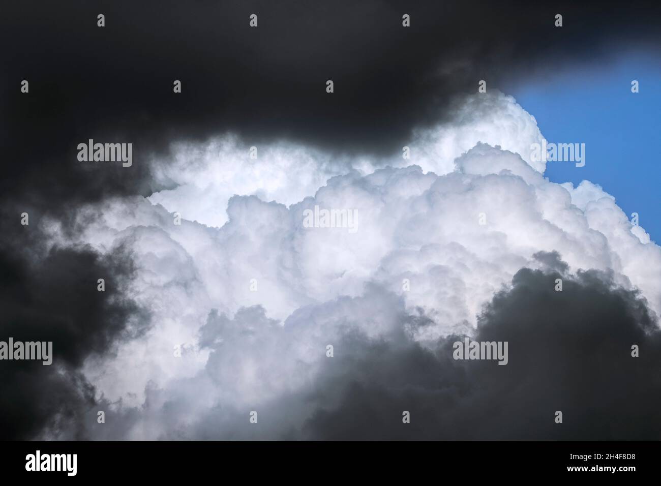 Nuvole di tempesta minacciose scure e cumulo congestus nube / torreggiante cumulo che si sviluppa nel cielo Foto Stock