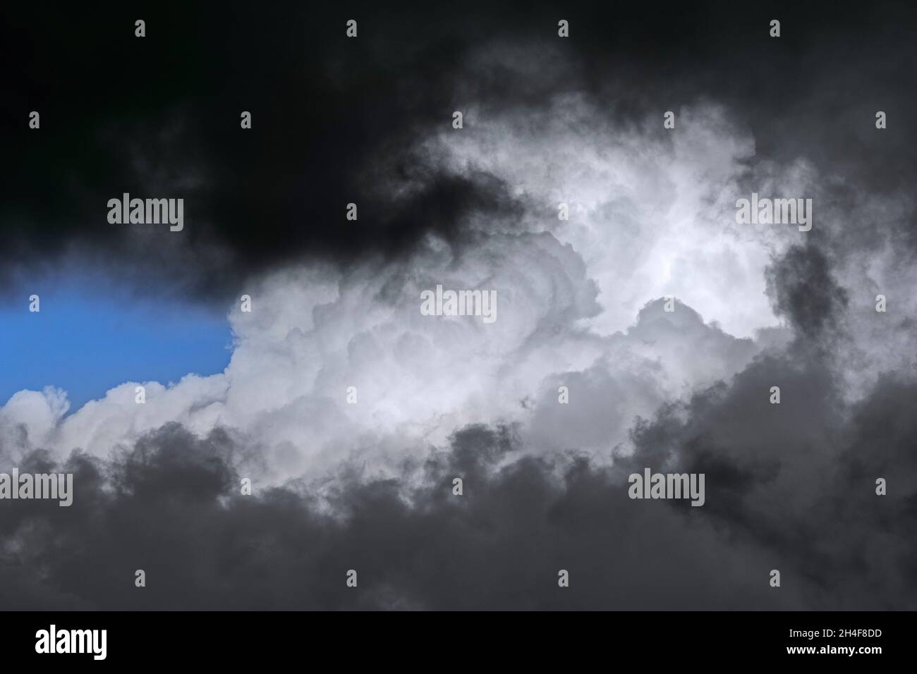 Nuvole di tempesta minacciose scure e cumulo congestus nube / torreggiante cumulo che si sviluppa nel cielo Foto Stock