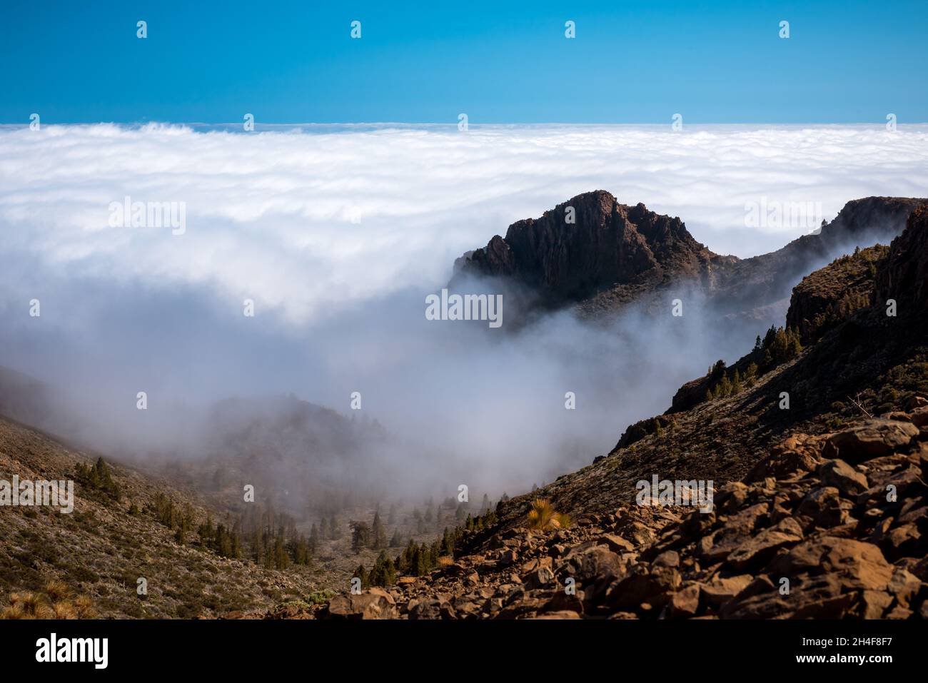 Paesaggio di lava vulcano Teide Tenerife Canarie Foto Stock