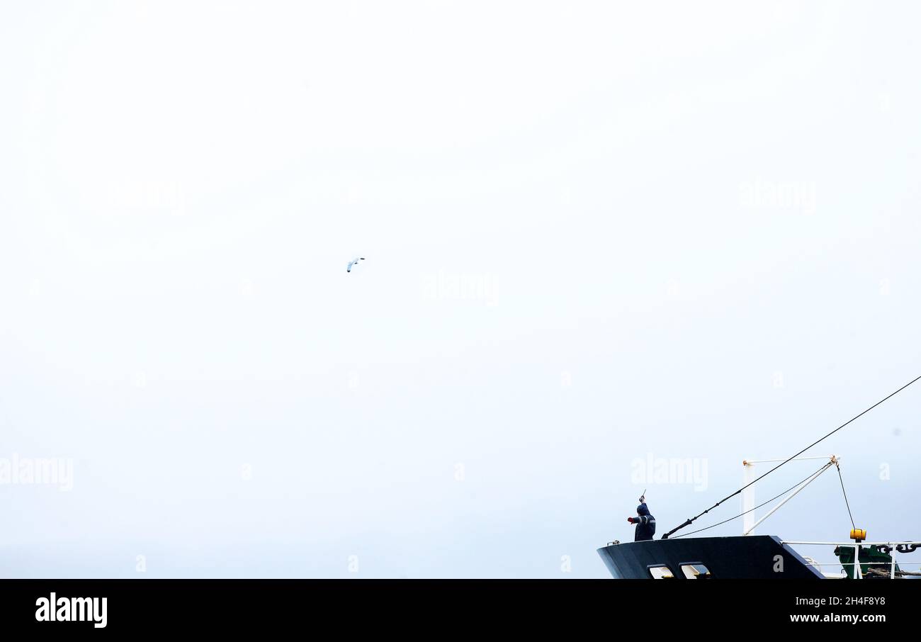 Attraversando il confine irlandese da Greencastle nell'Irlanda del Nord a Greenore nella Repubblica d'Irlanda con un traghetto per auto sulla costa orientale dell'isola. Foto Stock